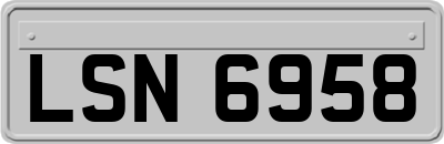 LSN6958