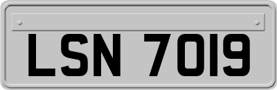 LSN7019