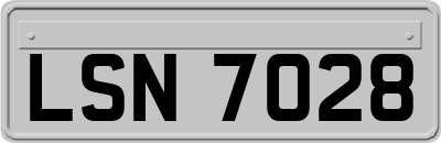 LSN7028