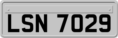 LSN7029