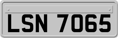 LSN7065