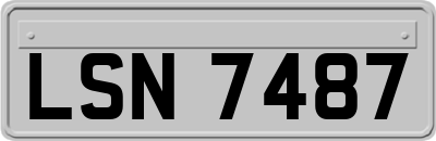 LSN7487