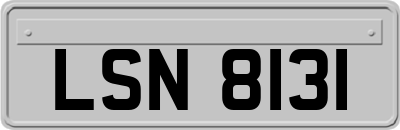 LSN8131