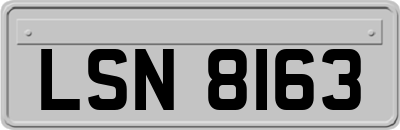 LSN8163