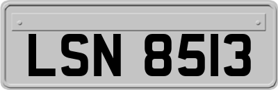 LSN8513