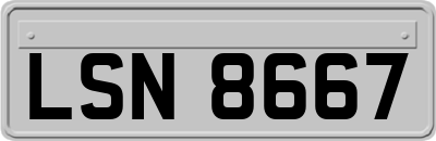 LSN8667