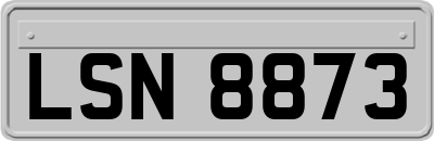 LSN8873