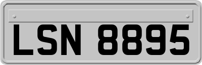 LSN8895