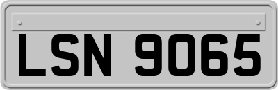 LSN9065