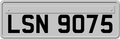 LSN9075