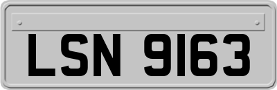 LSN9163