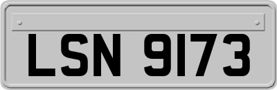 LSN9173