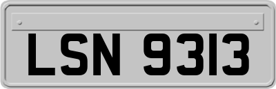 LSN9313