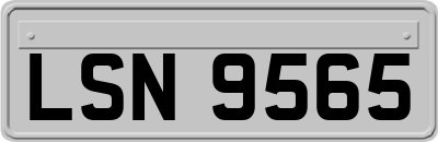 LSN9565