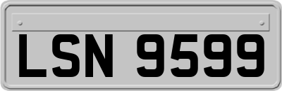 LSN9599