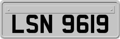 LSN9619
