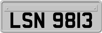 LSN9813