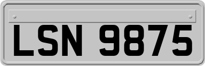 LSN9875