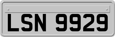 LSN9929