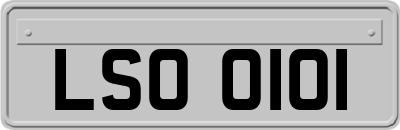 LSO0101