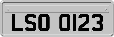 LSO0123