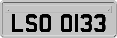 LSO0133