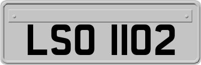 LSO1102