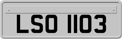 LSO1103