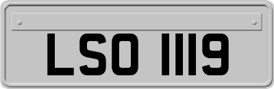 LSO1119