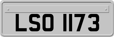 LSO1173