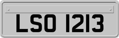 LSO1213