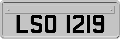LSO1219