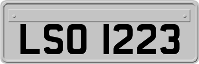 LSO1223
