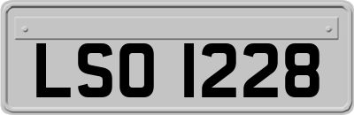 LSO1228