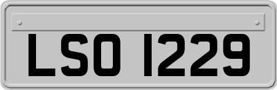 LSO1229