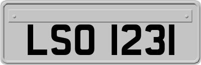 LSO1231