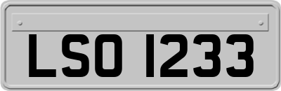 LSO1233