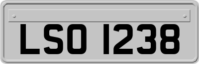 LSO1238