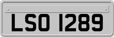 LSO1289