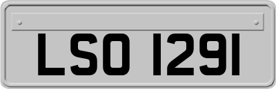 LSO1291
