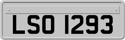 LSO1293
