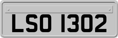LSO1302