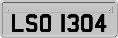 LSO1304