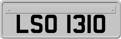 LSO1310