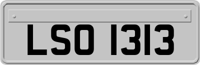 LSO1313