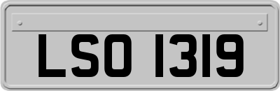 LSO1319