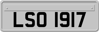 LSO1917