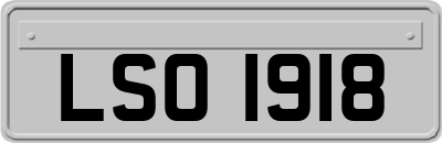 LSO1918