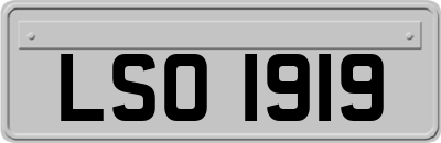LSO1919