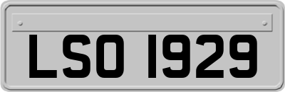 LSO1929